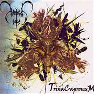 Astimi - TrinaCapronuM download free