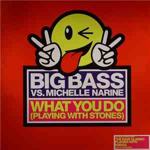 Big Bass vs. Michelle Narine - What You Do (Playing With Stones) download free