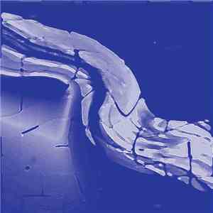 Charpi  - NVNA Quanta 03 download free