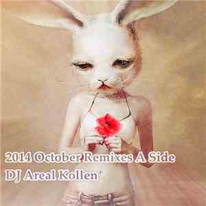 DJ Areal Kollen - 2014 October Remixes A Side download free