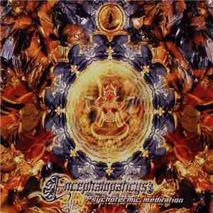 Encephalopaticys - Psychotermic Meditation download free