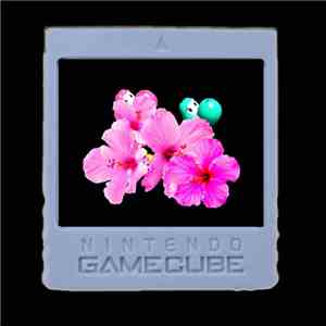 Mr. Hideyoshi - Memory Card Slot B download free