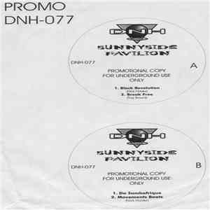 Nick Holder / Troy Brown - Sunnyside Pavilion download free