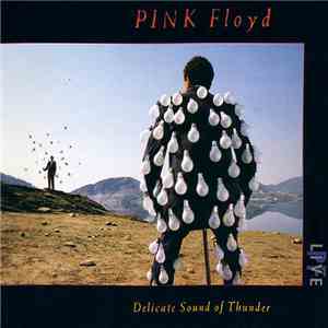 Pink Floyd - Delicate Sound Of Thunder download free