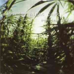 Saturday Night Park - Evening Star download free