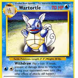 South:!:ast Co ' J~sr. - Wartortle St. Augustine download free