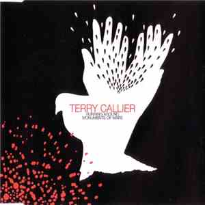 Terry Callier - Running Around / Monuments Of Mars download mp3 flac