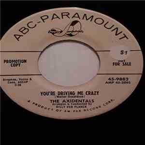 The Axidentals - You're Driving Me Crazy download free