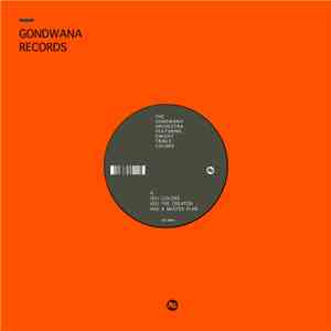 The Gondwana Orchestra Featuring Dwight Trible - Colors download free