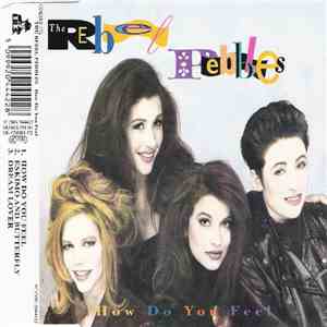 The Rebel Pebbles - How Do You Feel download free