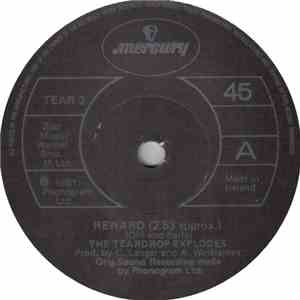 The Teardrop Explodes - Reward download free