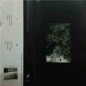 The Trees & The Wild - Zaman, Zaman download free