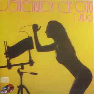 Various - Vallenatos De Oro Vol. 19 download free