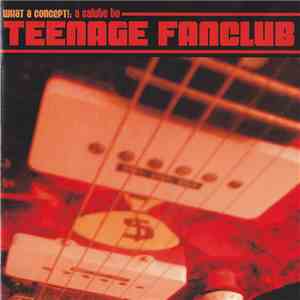 Various - What A Concept!: A Salute To Teenage Fanclub download free