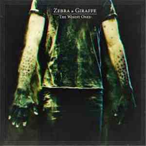 Zebra & Giraffe - The Wisest Ones download free
